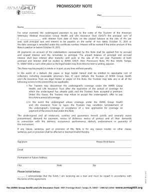 Promissory Note for AVMA Group Health and Life Insurance Trust