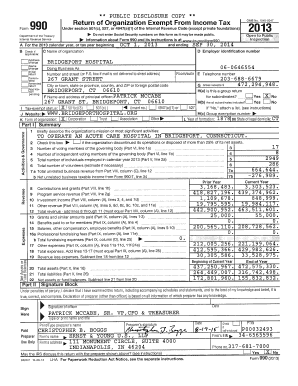 IRS Form 990 2013