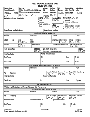 Louisiana Plan of Care Form