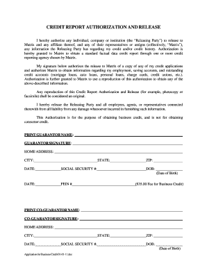 Application for Business Credit