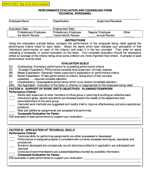 Performance Evaluation and Counseling Form