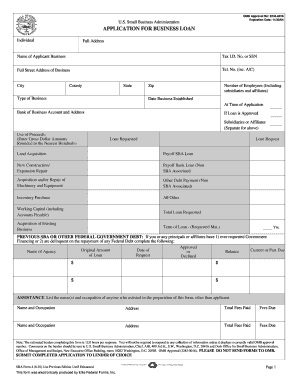 US Small Business Administration Loan Application