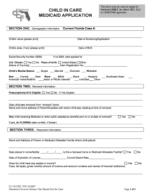 Florida Child in Care Medicaid Application