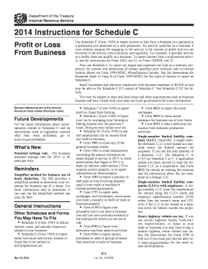 2014 Instructions for Schedule C