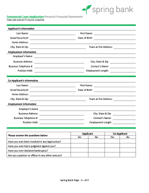 Commercial Loan Application - Personal Financial Statement