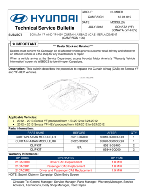Hyundai Sonata Curtain Airbag Replacement Form