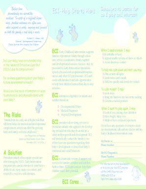 Early Childhood Intervention Program Guide