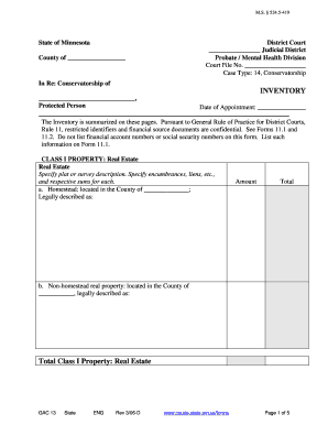 Minnesota Conservatorship Inventory Form