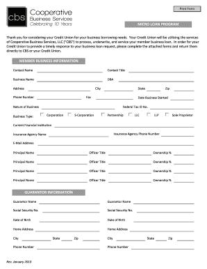 Micro Loan Program Application