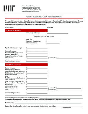 Cash flow statement template - sfs mit