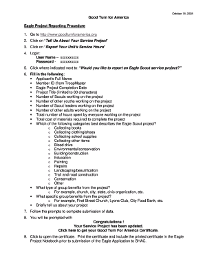 Eagle Project Reporting Form