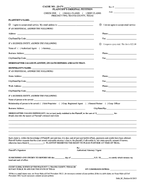 Plaintiff’s Original Petition
