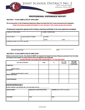 Professional Experience Report
