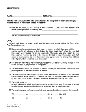 Criminal Undertaking Form