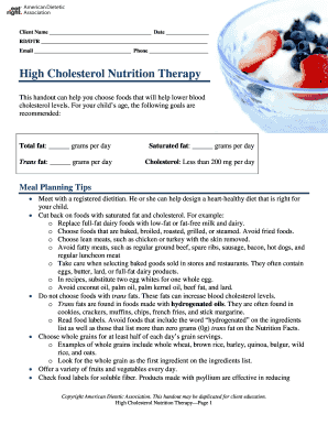 High Cholesterol Nutrition Therapy Form