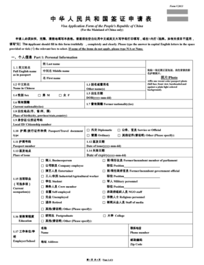 China Visa Application Form