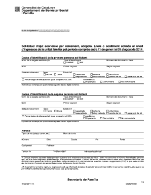 Catalonia Birth Adoption Foster Care Financial Aid Application