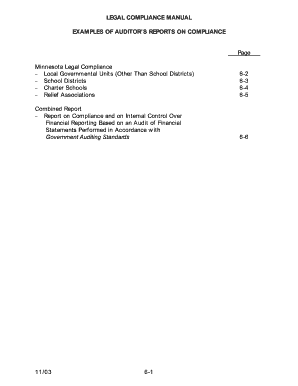 Auditor's Legal Compliance Report