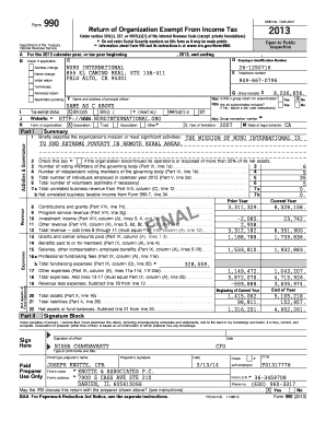 Form 990 2013