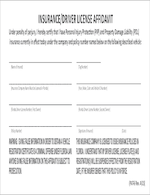 Florida Insurance Driver License Affidavit