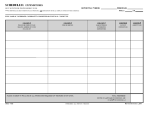 Schedule D Expenditures Form
