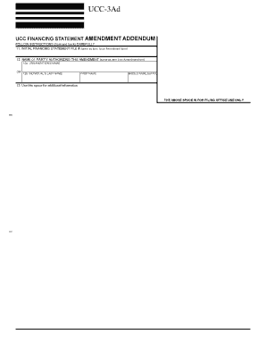 UCC-3Ad Financing Statement Amendment Addendum