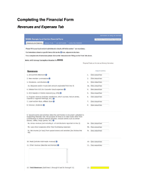 ACS Financial Form Revenues and Expenses