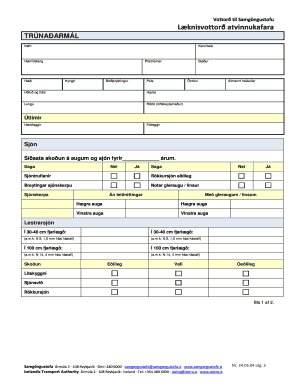 Icelandic Transport Authority Medical Certificate