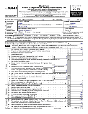 Form 990-EZ 2010