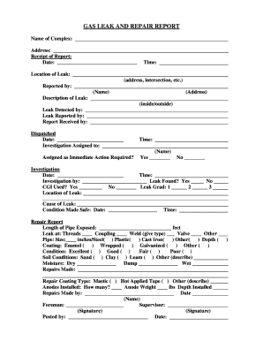 Gas Leak and Repair Report