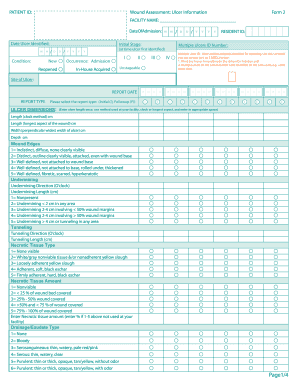 Wound Assessment Ulcer Information Form