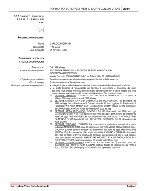 Formato Europeo per il Curriculum Vitae 2014