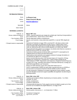 Curriculum Vitae Professionale