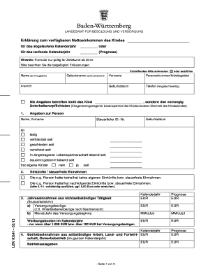 Erklärung zum verfügbaren Nettoeinkommen des Kindes