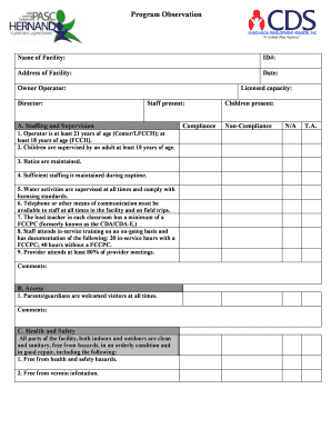 Childcare Facility Program Observation Form