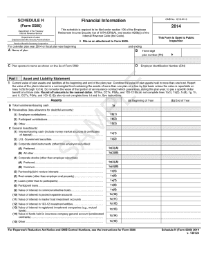 Schedule H Form 5500 2014