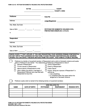 Petition for Domestic Violence Civil Protection Order