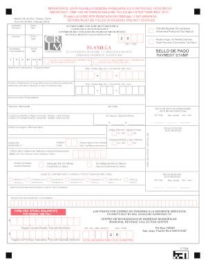 Form preview picture