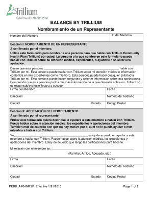 Nombramiento de un Representante