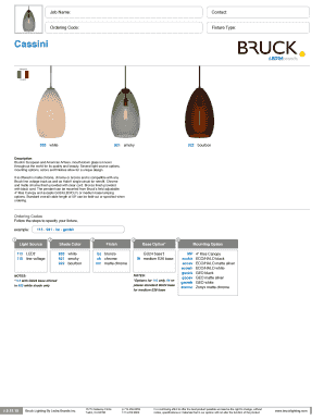 Bruck Artisan Glass Pendant Order Form