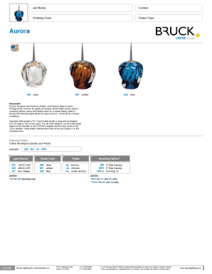 Bruck Lighting Order Form