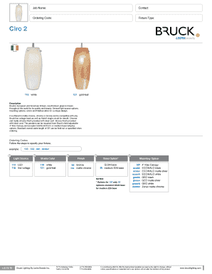 Bruck Artisan Glass Pendant Order Form