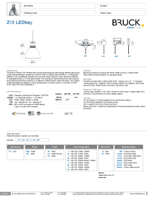 LEDbay Pendant Order Form