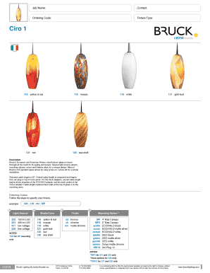 Bruck Lighting Fixture Order Form