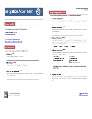 FEMA Mitigation Action Collection Form