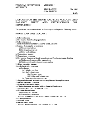 Financial Supervision Profit and Loss Account and Balance Sheet