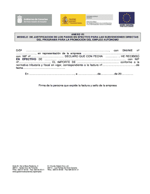 Modelo de Justificación de los Pagos en Efectivo
