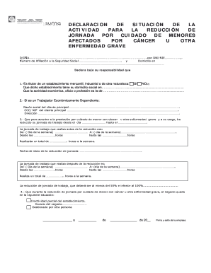 Declaración de Situación de la Actividad para la Reducción de Jornada por Cuidado de Menores
