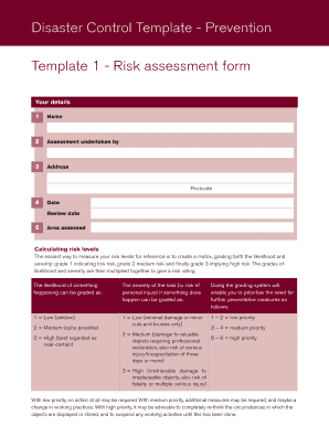 Disaster Control Risk Assessment Form