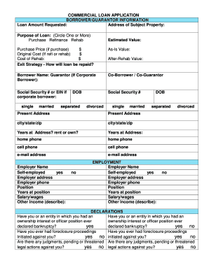 Commercial Loan Application Form
